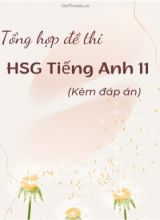Tổng hợp đề thi HSG tiếng Anh 11 (Kèm đáp án)